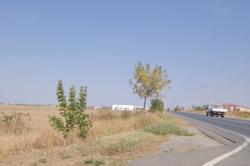 Mihailesti