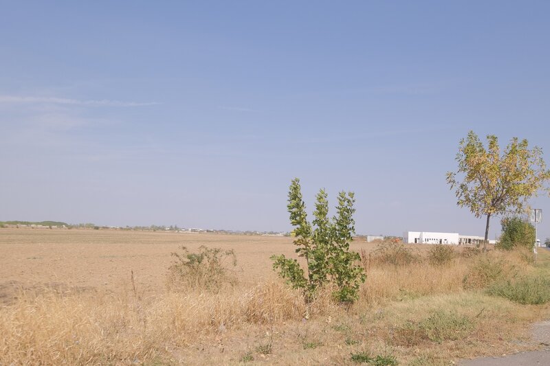 Mihailesti